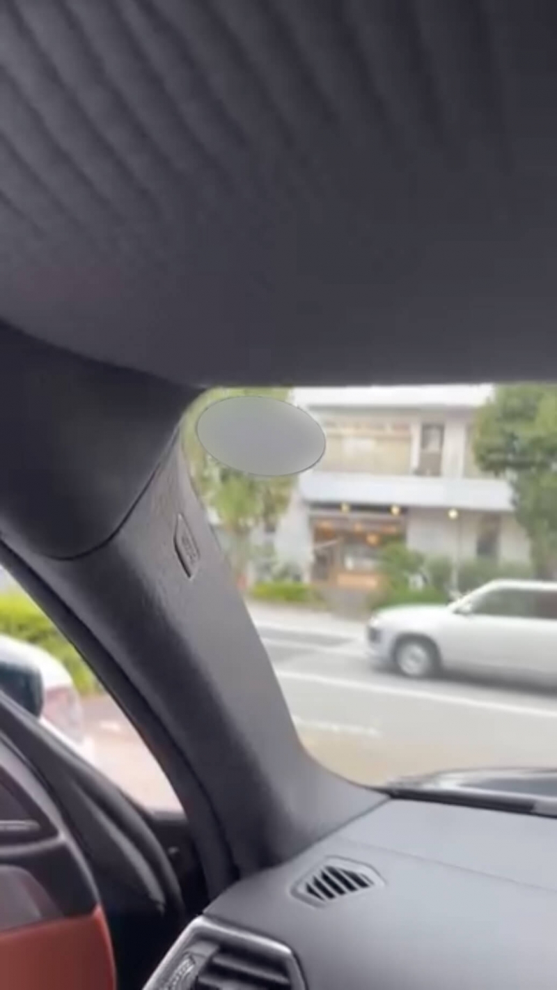 ALPINA D4s サンバイザー・ピラー張替え（クロコ柄）2